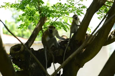 DSC_7861 (Large).JPG